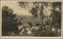 <p>Brtníky, 1940</p>